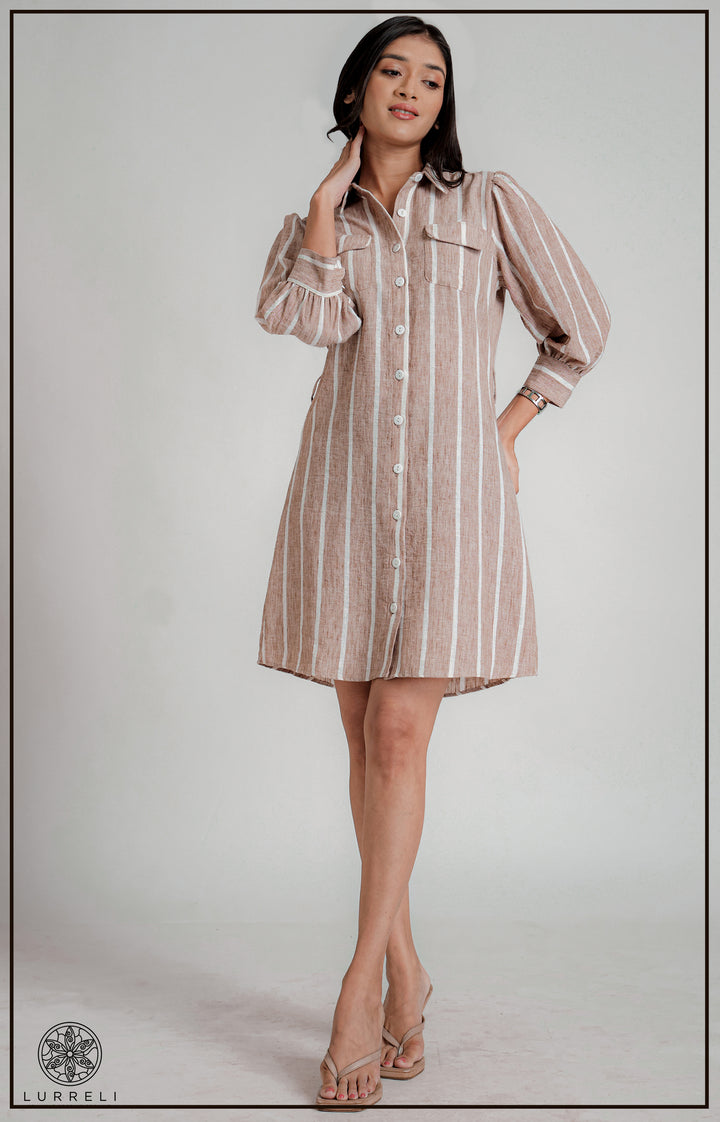Long Sleeve Collared Dress
