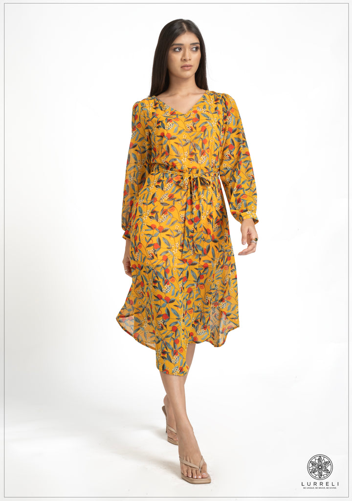 Asymmetrical hem printed Dress