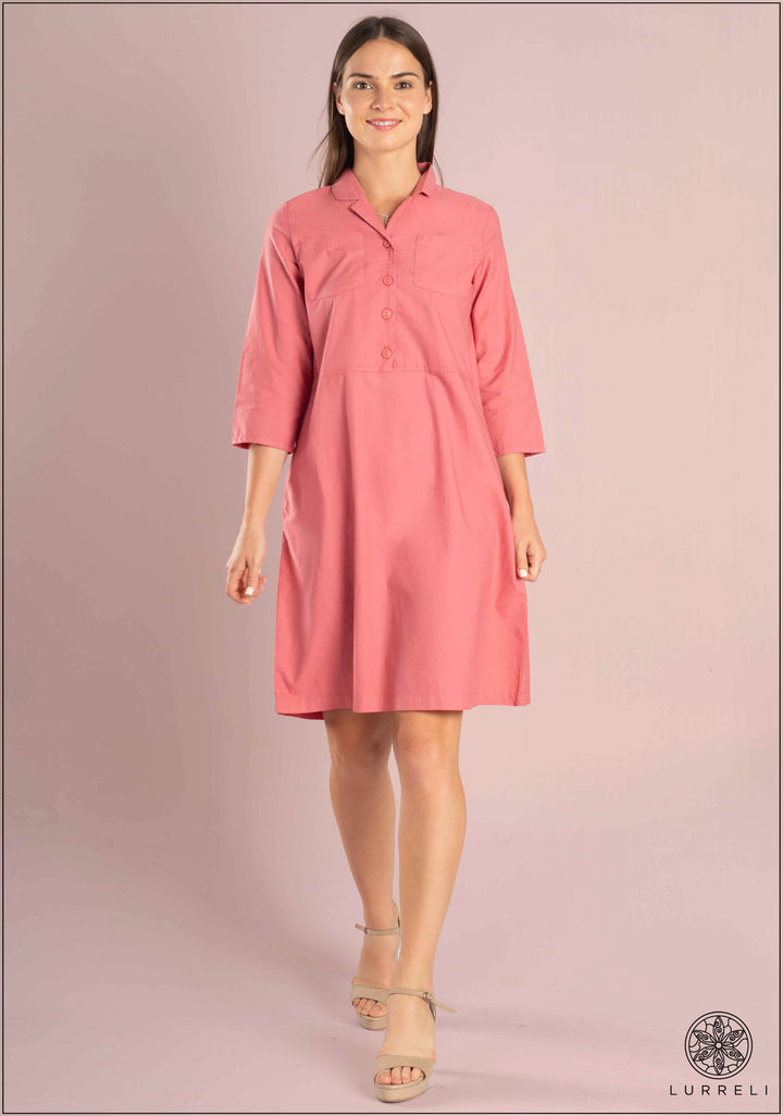 Collar Detail Causal Dress