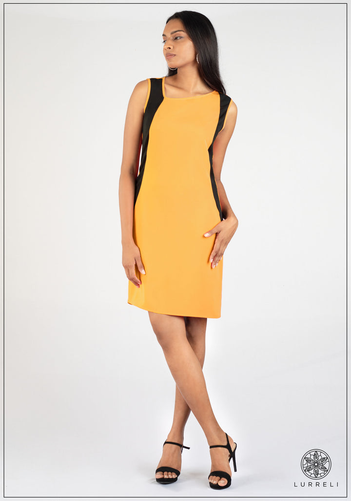 Contrast Work Wear Dress