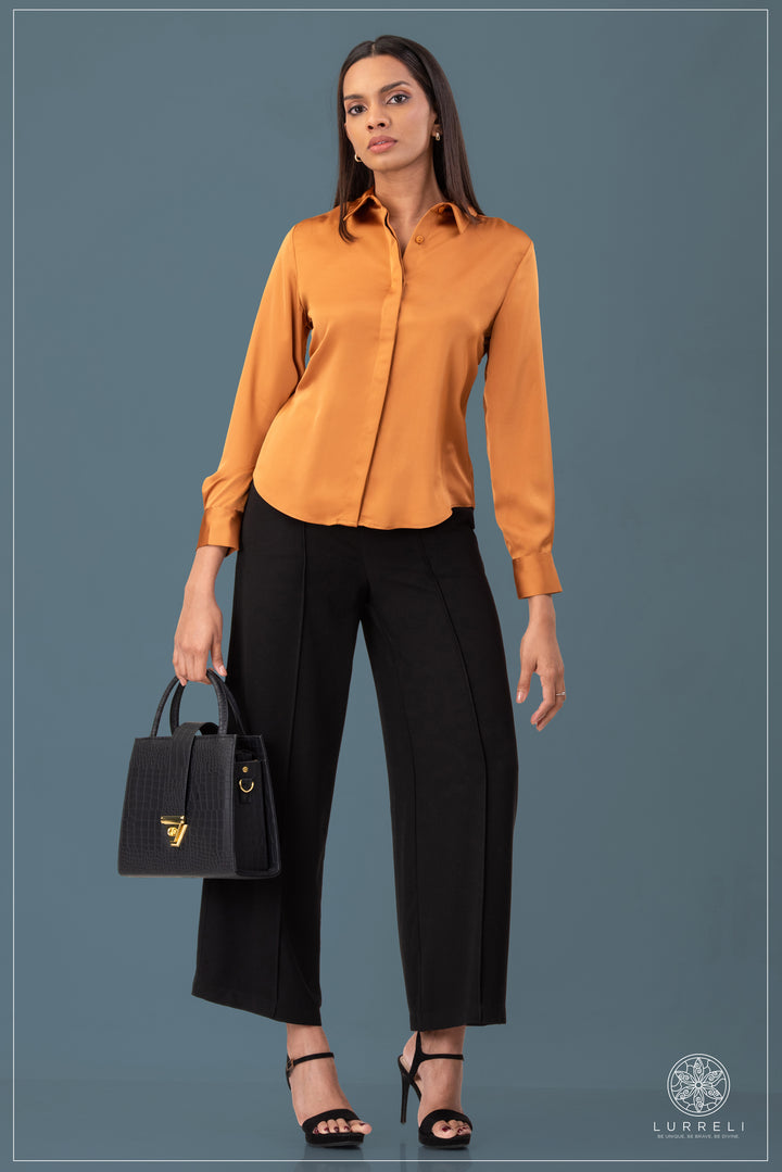 Solid Work Wear Blouse
