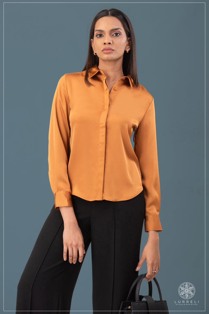Solid Work Wear Blouse