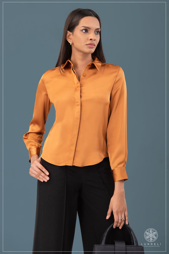 Solid Work Wear Blouse