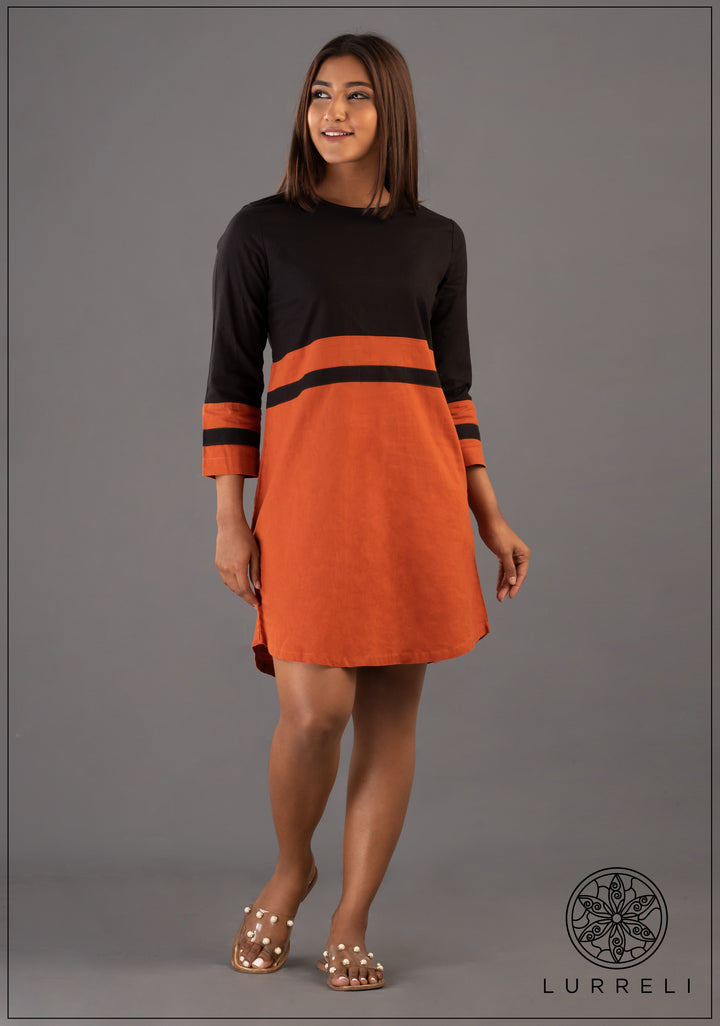 Color Block Shift Dress